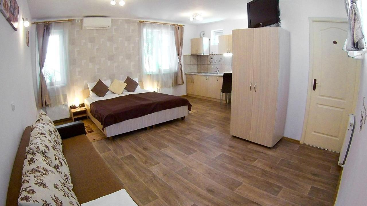 Nice & Cozy Apartments Τιμισοάρα Εξωτερικό φωτογραφία