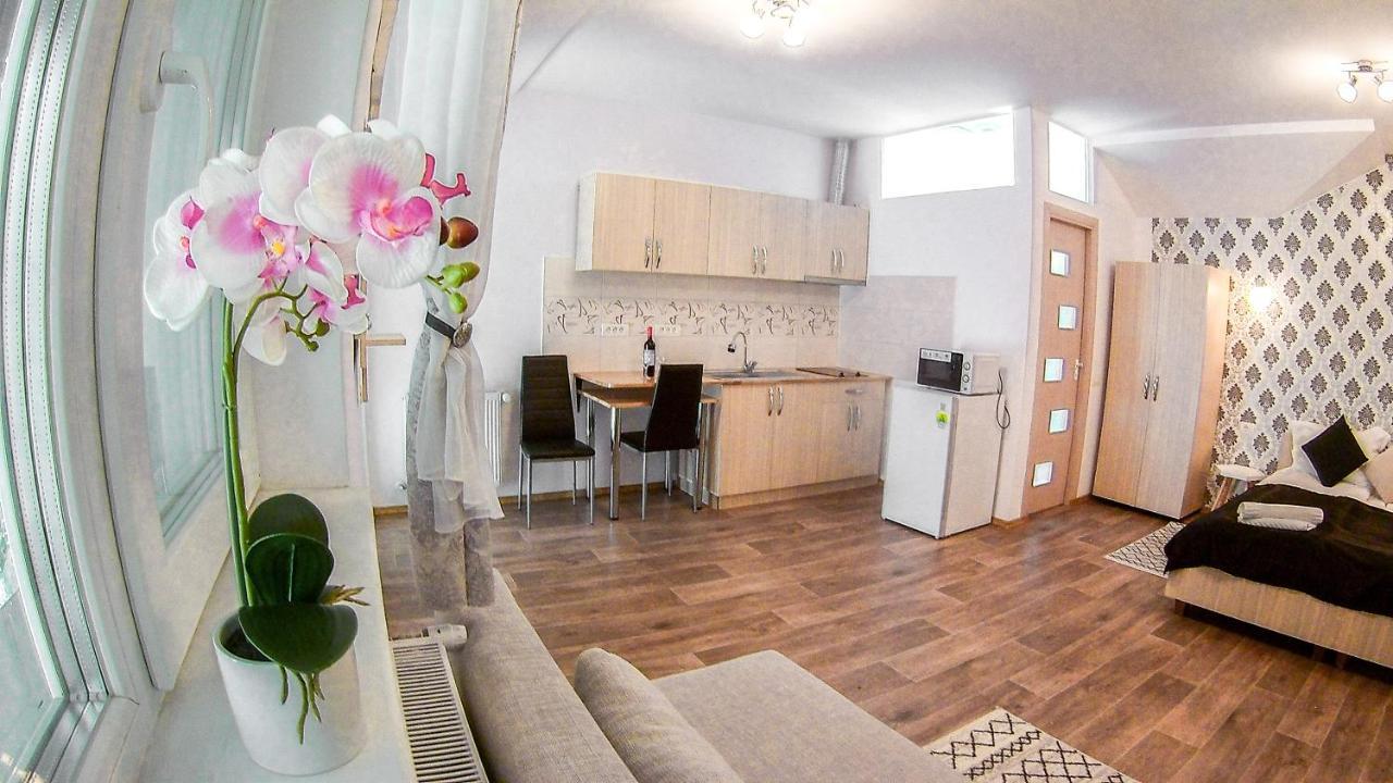 Nice & Cozy Apartments Τιμισοάρα Εξωτερικό φωτογραφία