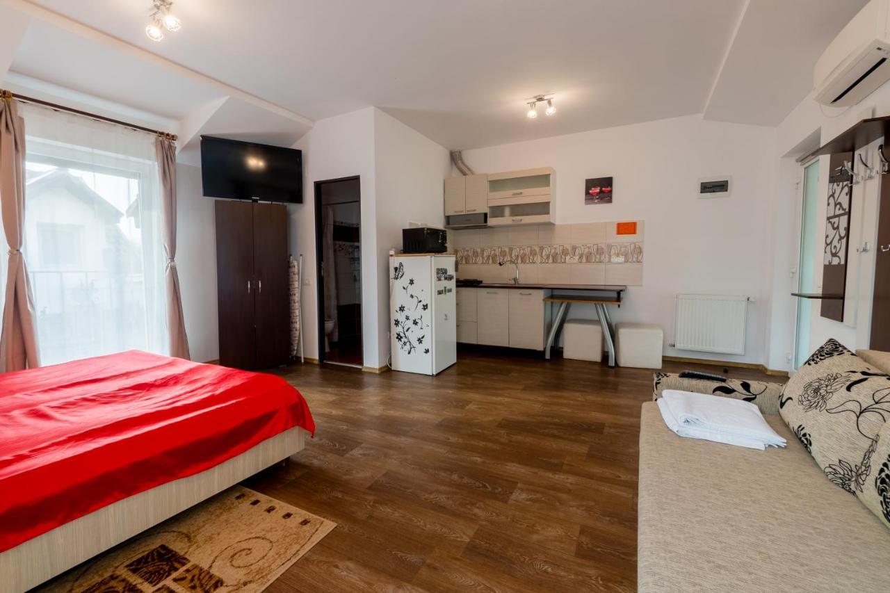 Nice & Cozy Apartments Τιμισοάρα Εξωτερικό φωτογραφία